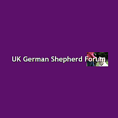 UK German Shepherd Forum